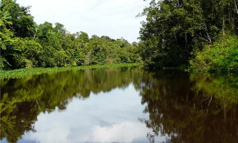 Delta del Orinoco