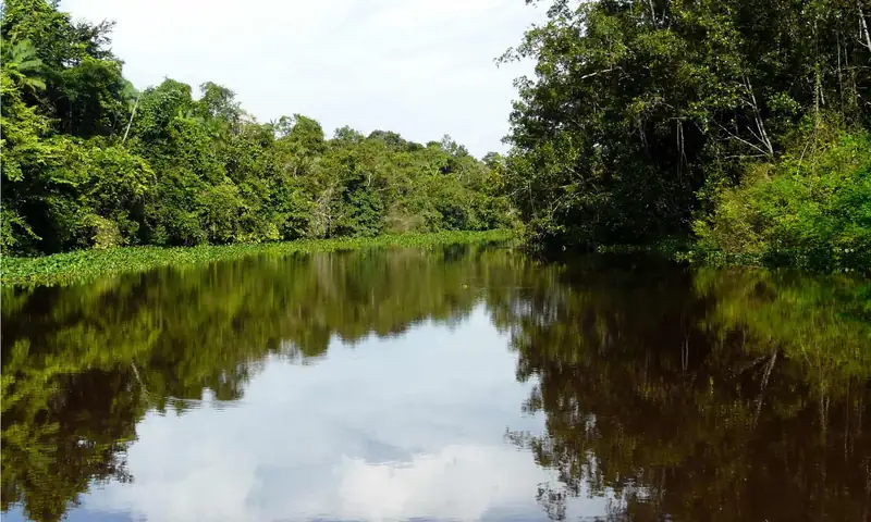Delta del Orinoco