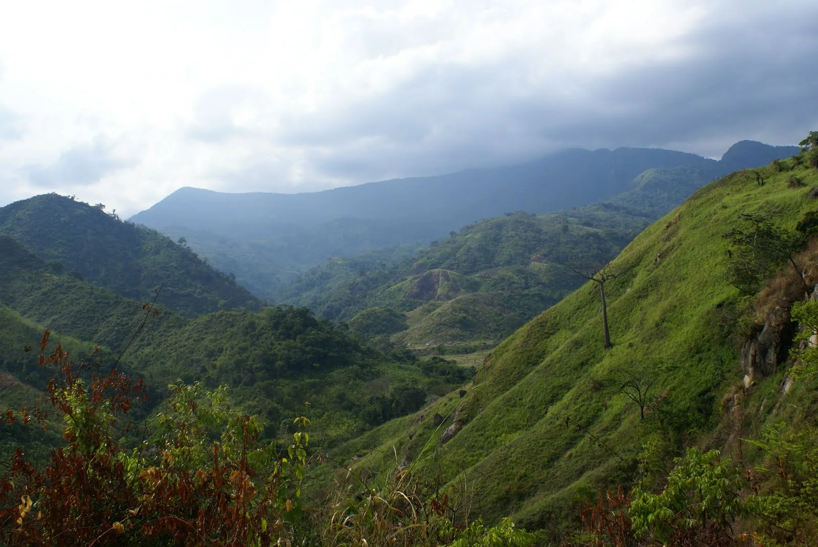 Parque Nacional Henri Pittier Maracay