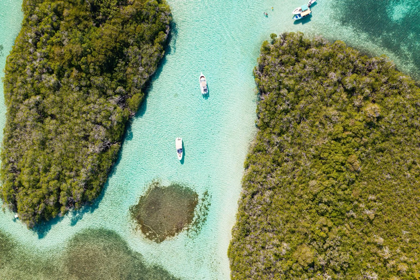 Morrocoy familia cayos