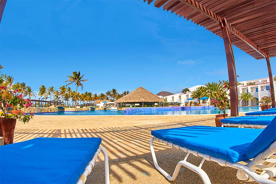 Áreas de piscinas y puentes decorativos