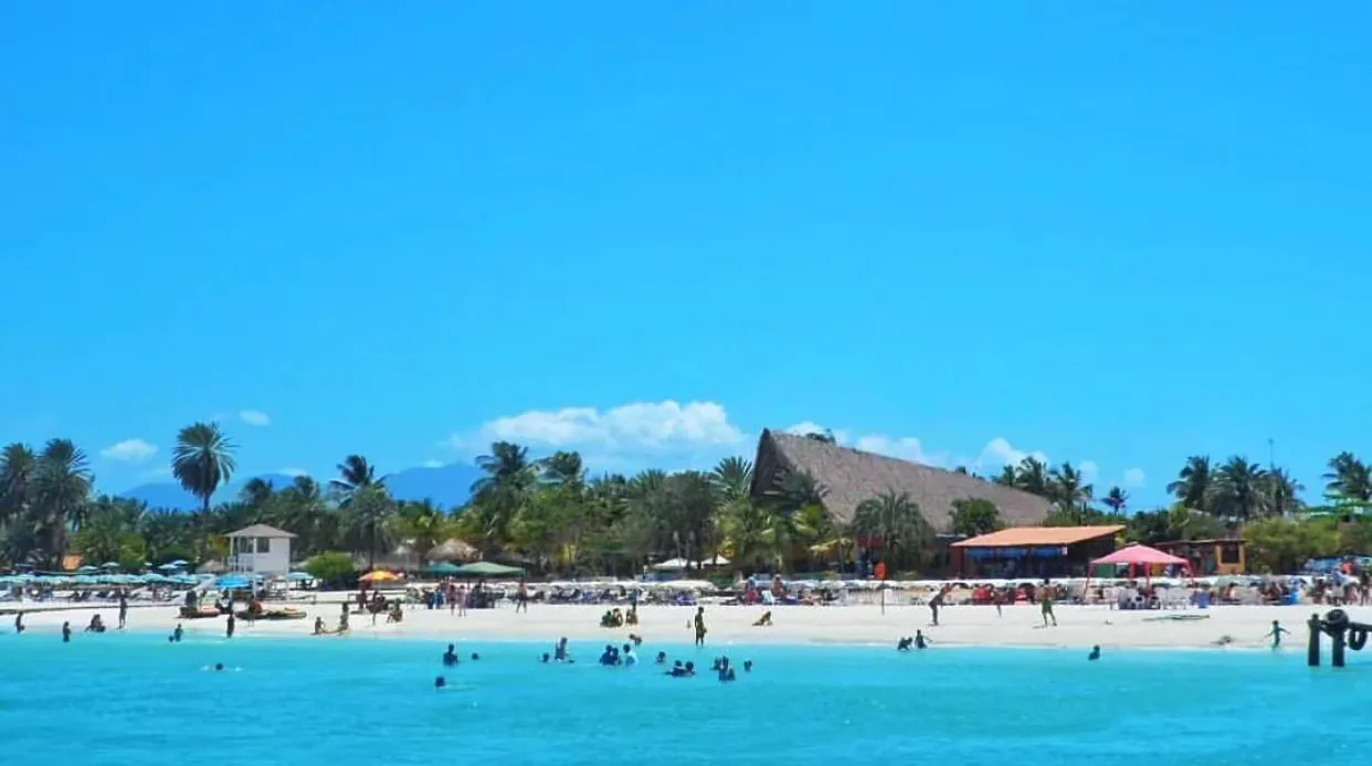 PARADISE COCHE