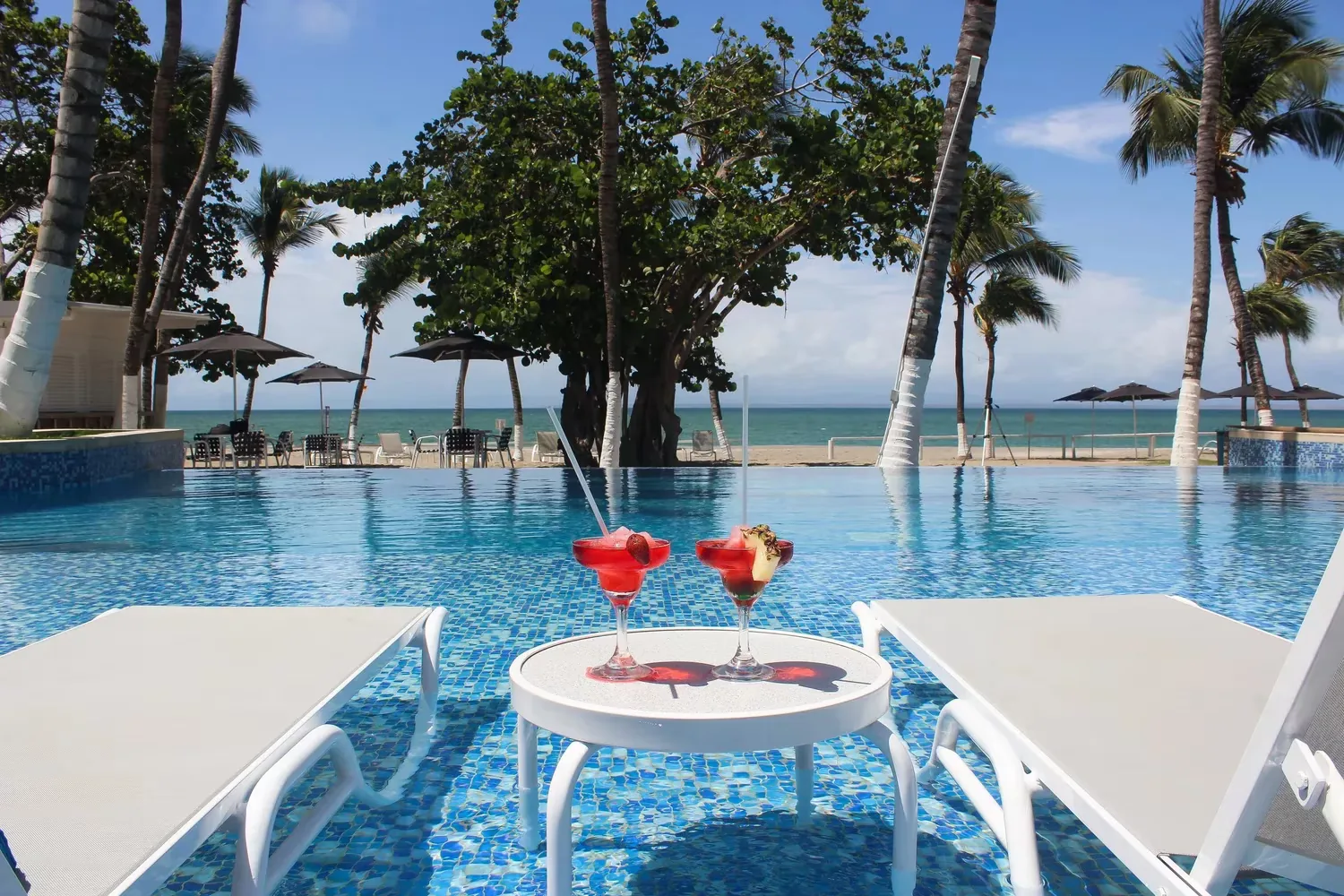 Restaurante & Bar La Palapa