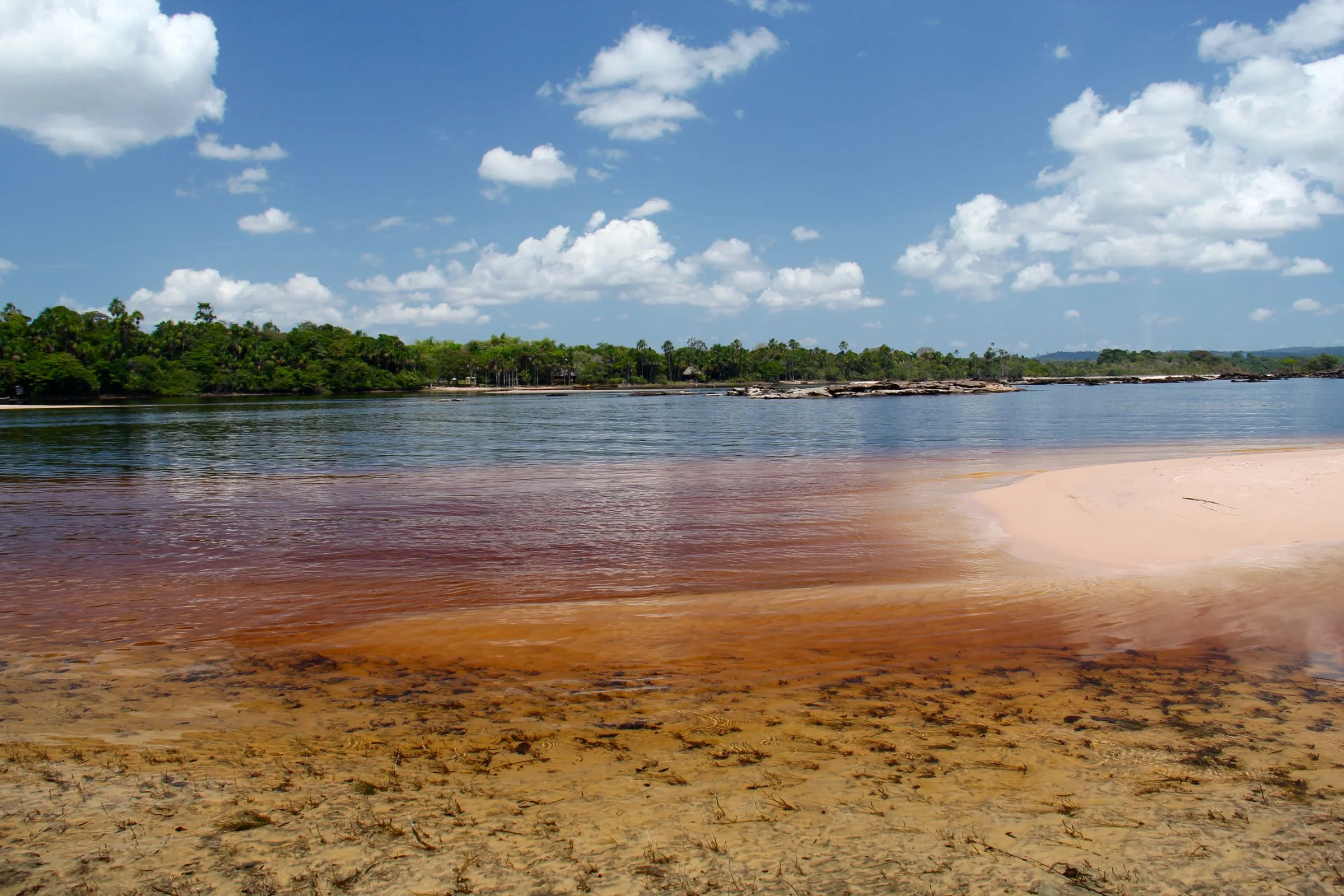 Laguna de Canaima