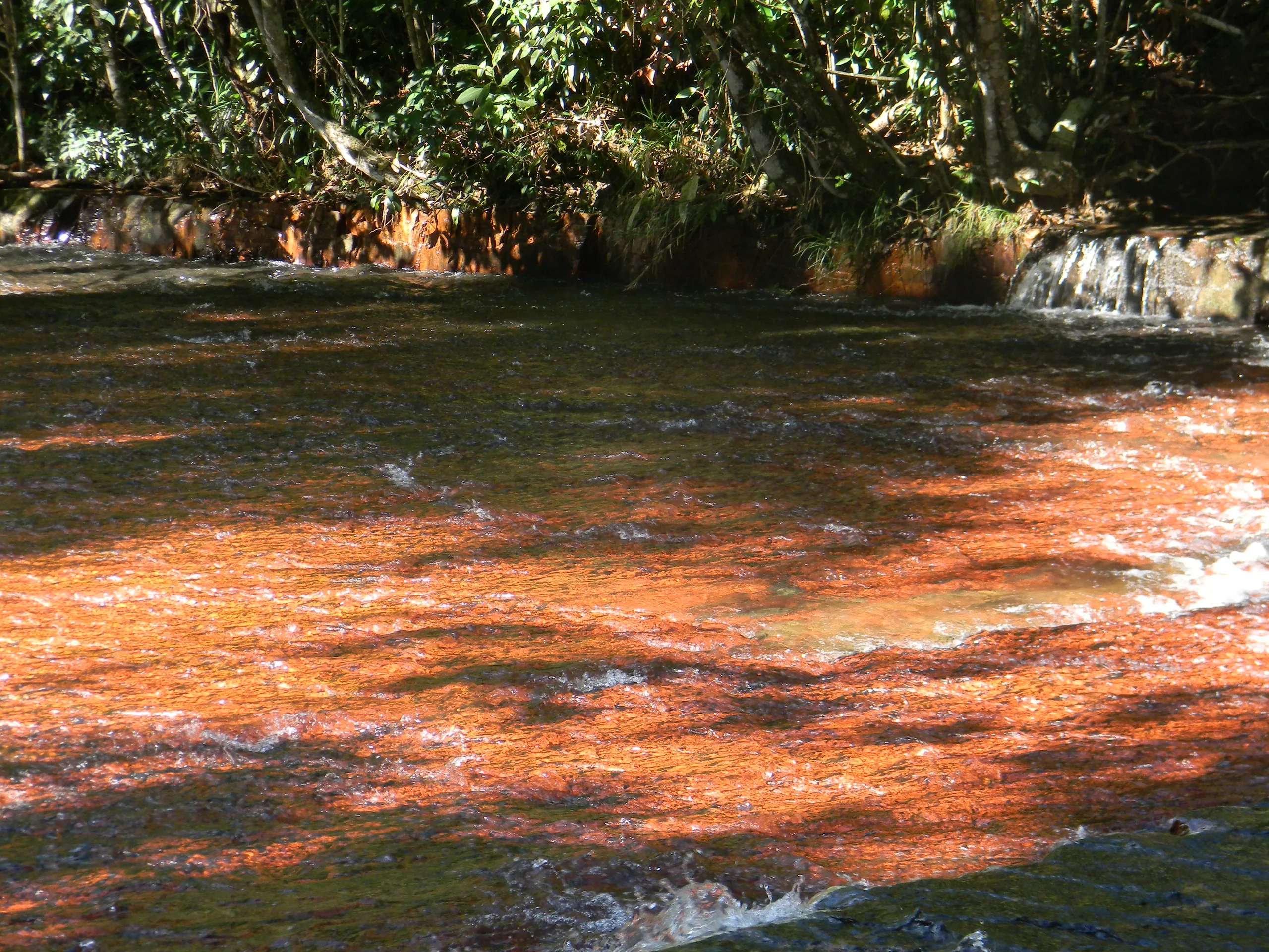 Quebrada de Jaspe y Gran Sabana