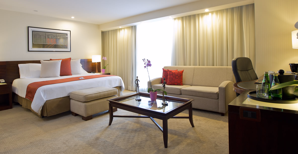 Habitación Suite VIP