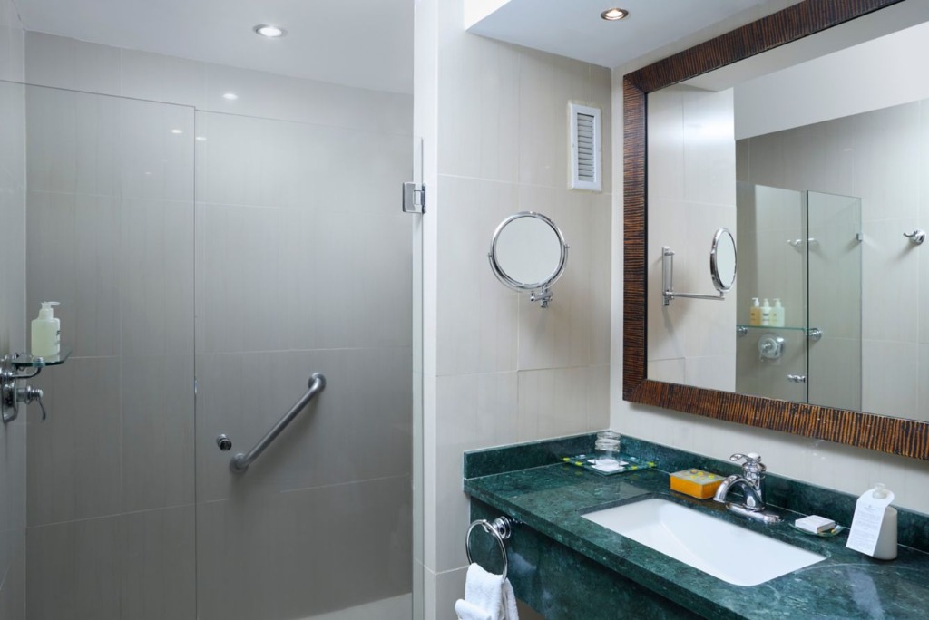 Baño de Lujo