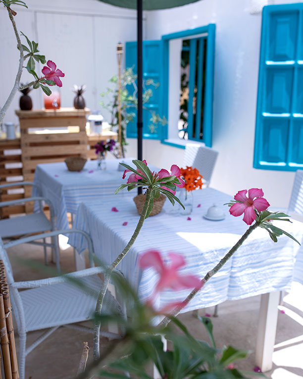 Terraza y Espacios Comunes